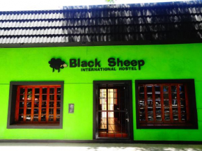 Black Sheep International Hostel